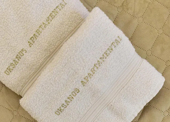 Oksanos Apartamentai Druskininkuose Atskiras Iejimas 1 Aukstas 드루스키닝카이