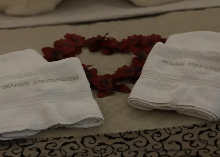 Oksanos Apartamentai Druskininkuose Atskiras Iejimas 1 Aukstas *